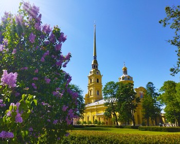 Все символы Северной столицы на автобусе, коллекции музея Фаберже