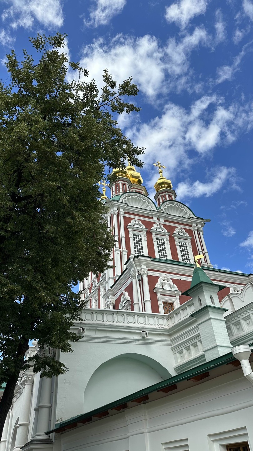 Новодевичий монастырь и Новодевичье кладбище (Надежда)