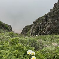 Фото отзыва 2: экскурсия "Лучшее на Русском острове: охватить самое важное за 1 день"