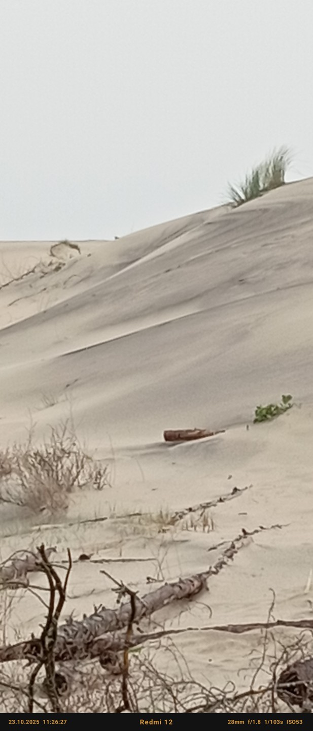 Отличная поездка, интересно, увлекательно, просьбы, пожелания всё отлично, даже туман не испортил впечатлений о поездке, туда