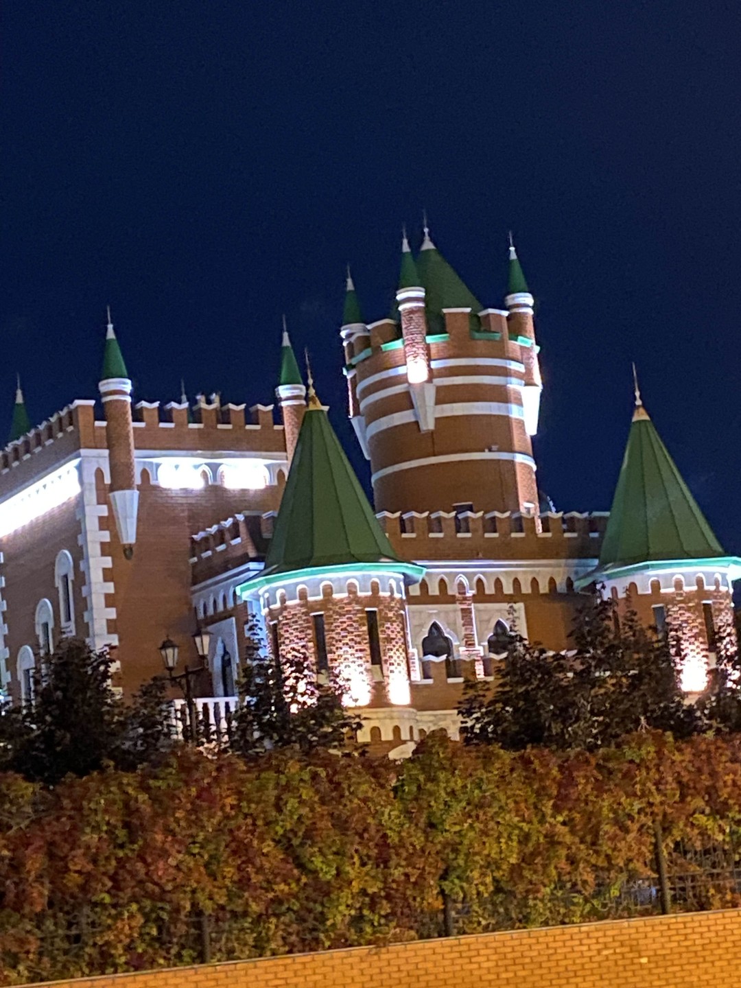 Отличный экскурсовод, красивая, уютная, гостеприимная Йошкар-Ола! Владение материала безупречное. Очень много интересных фактов, замечательная подача. Интересно