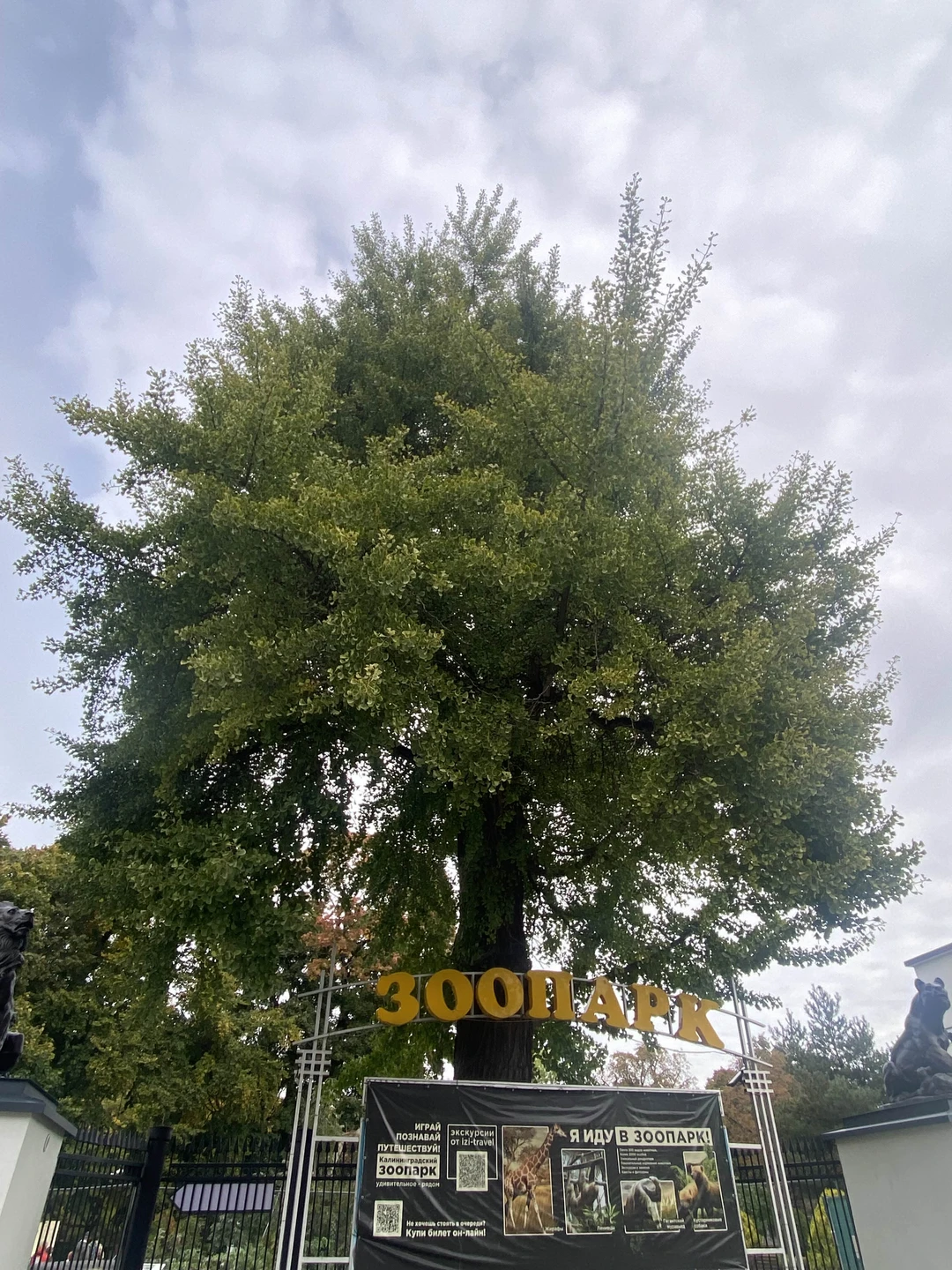 Спасибо Юлии за чудесную экскурсию! Столько мелочей, на которые ни за что, гуляя самостоятельно, не обратишь