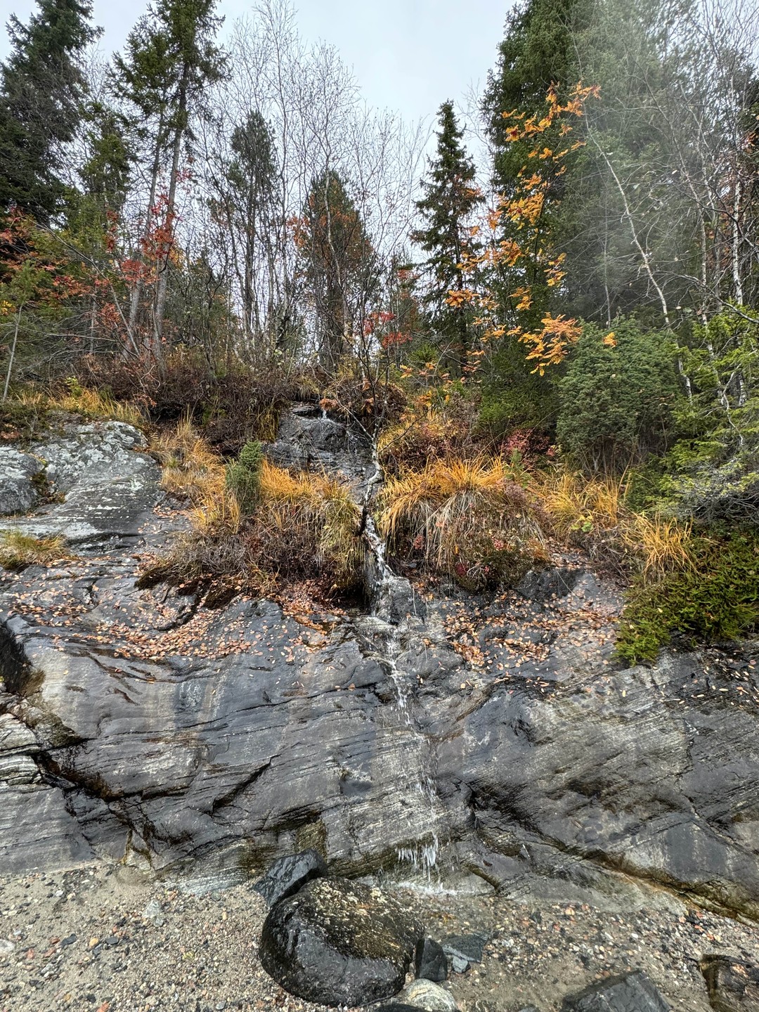 Замечательная экскурсия с профессионалом👍