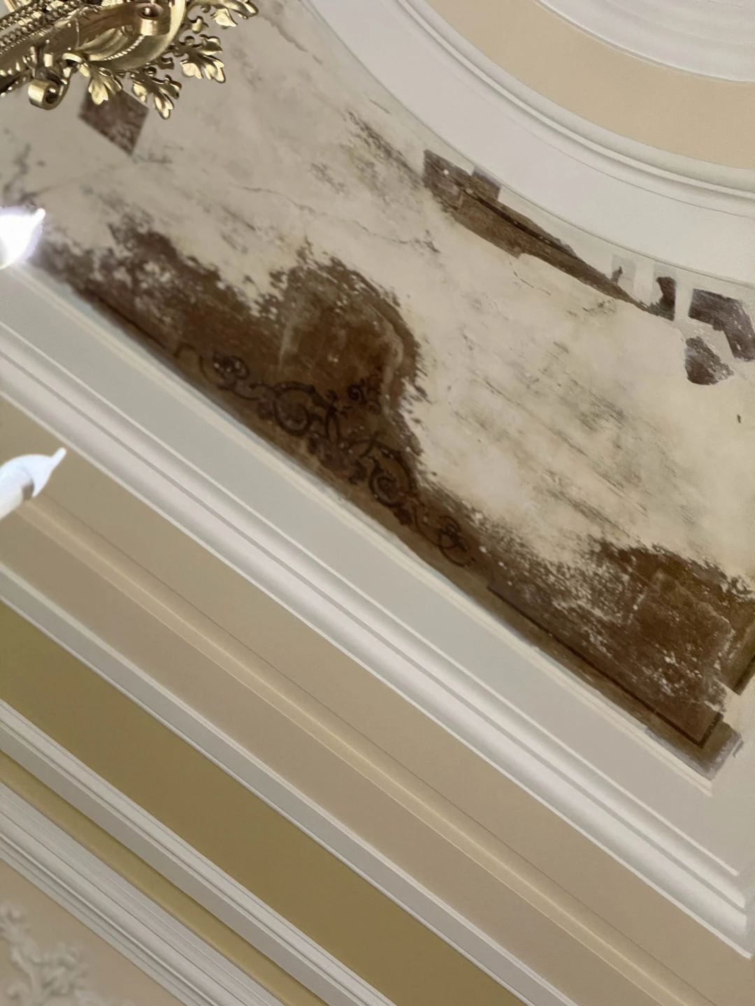 Фонтанный дом: будни графов Шереметевых (Дзюба)