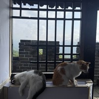 reviews img
