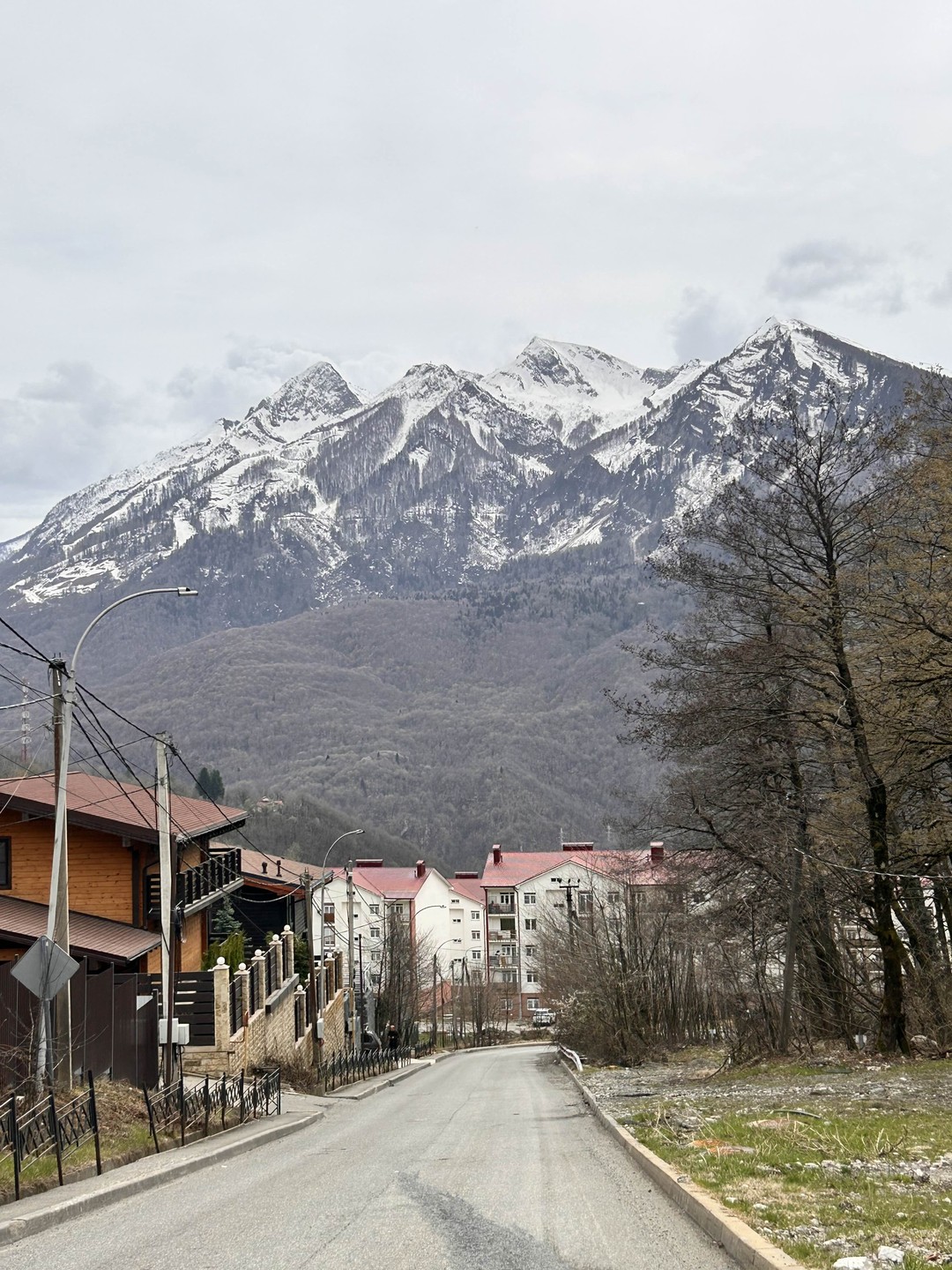 Красная Поляна, Роза Хутор и Парк альпак (Ксения)