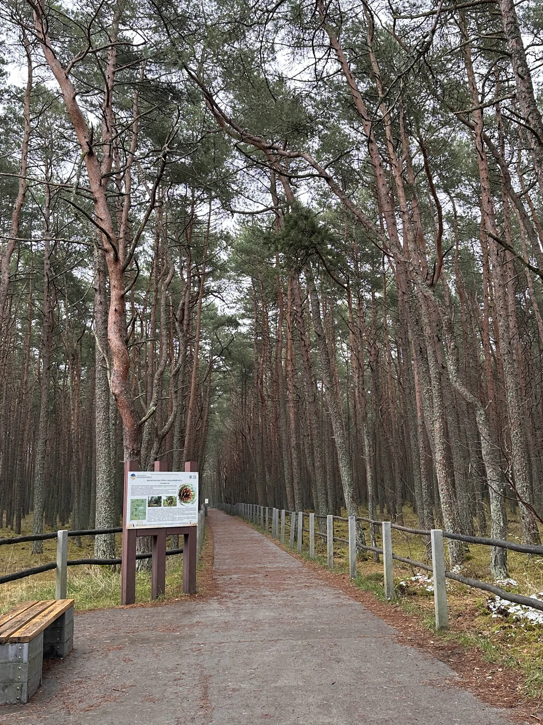 были на индивидуальной экскурсии с Антоном 29 ноября, остались в восторге🙏🏼