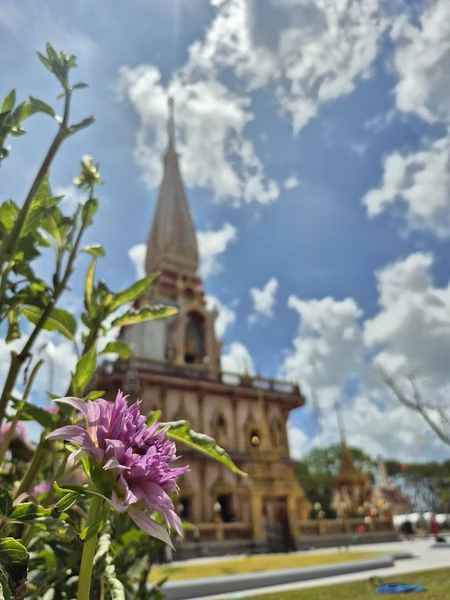Благодарим Леонида за чудесно проведённое время! Успели посмотреть очень многое: красивые пейзажи, архитектурные сооружения, узнать исторические