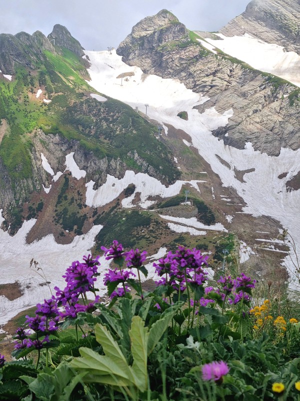 Виды Старая новая Красная Поляна