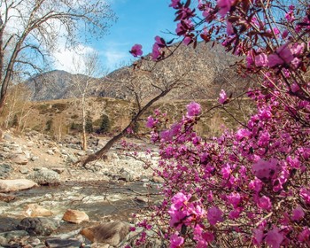 Урочище Че-Чкыш, Ороктойский мост, остров Патмос