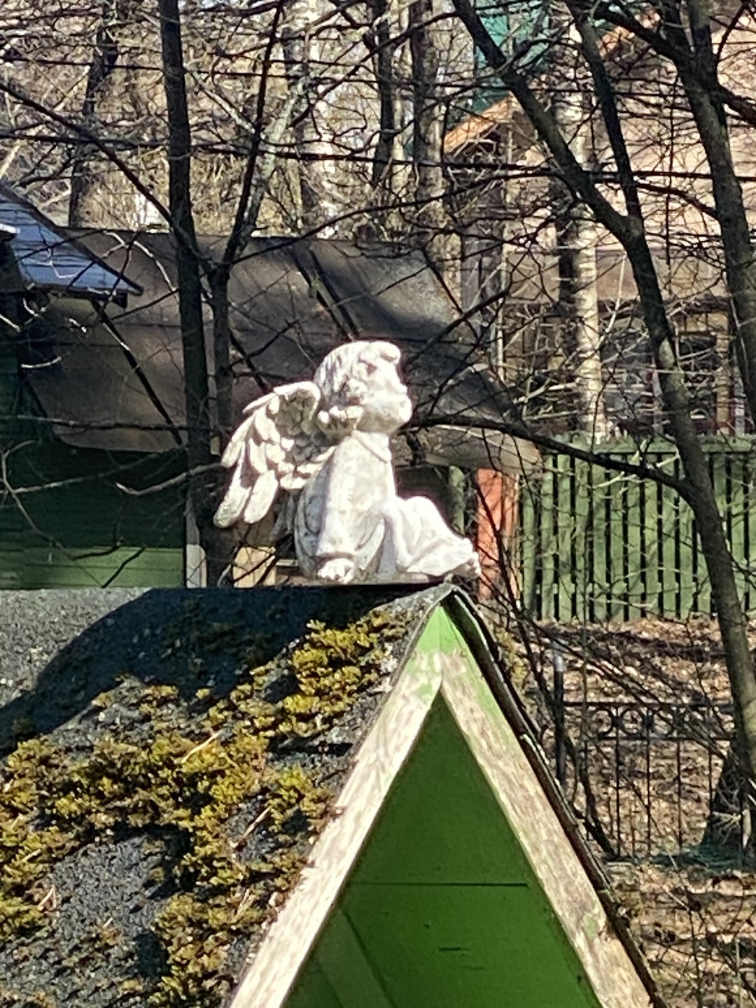 Получили огромное удовольствие от прогулки!