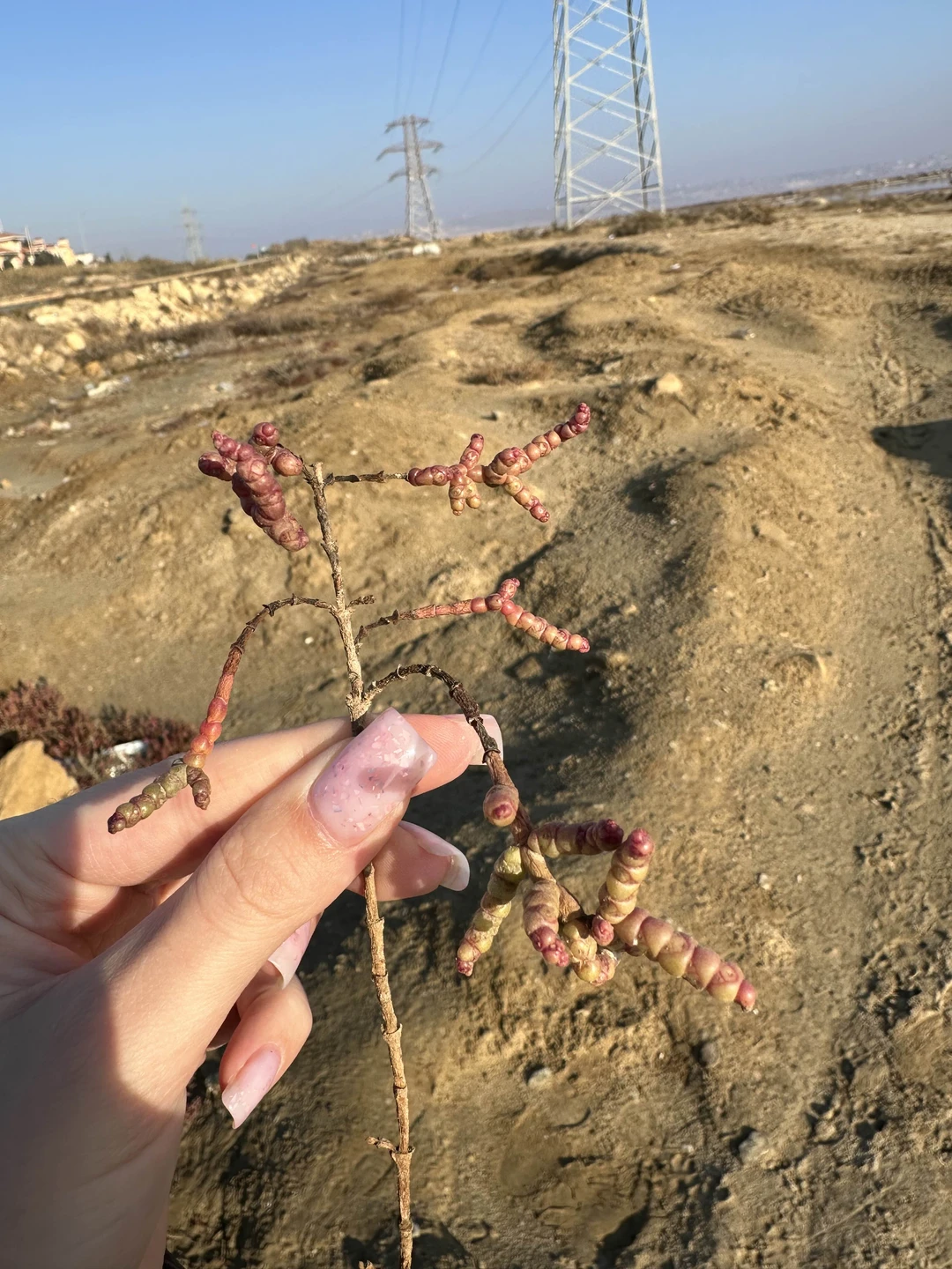 Потрясающая экскурсия! Большое спасибо гиду Идрису за подробные рассказы и ответы на вопросы) в ноябре очень