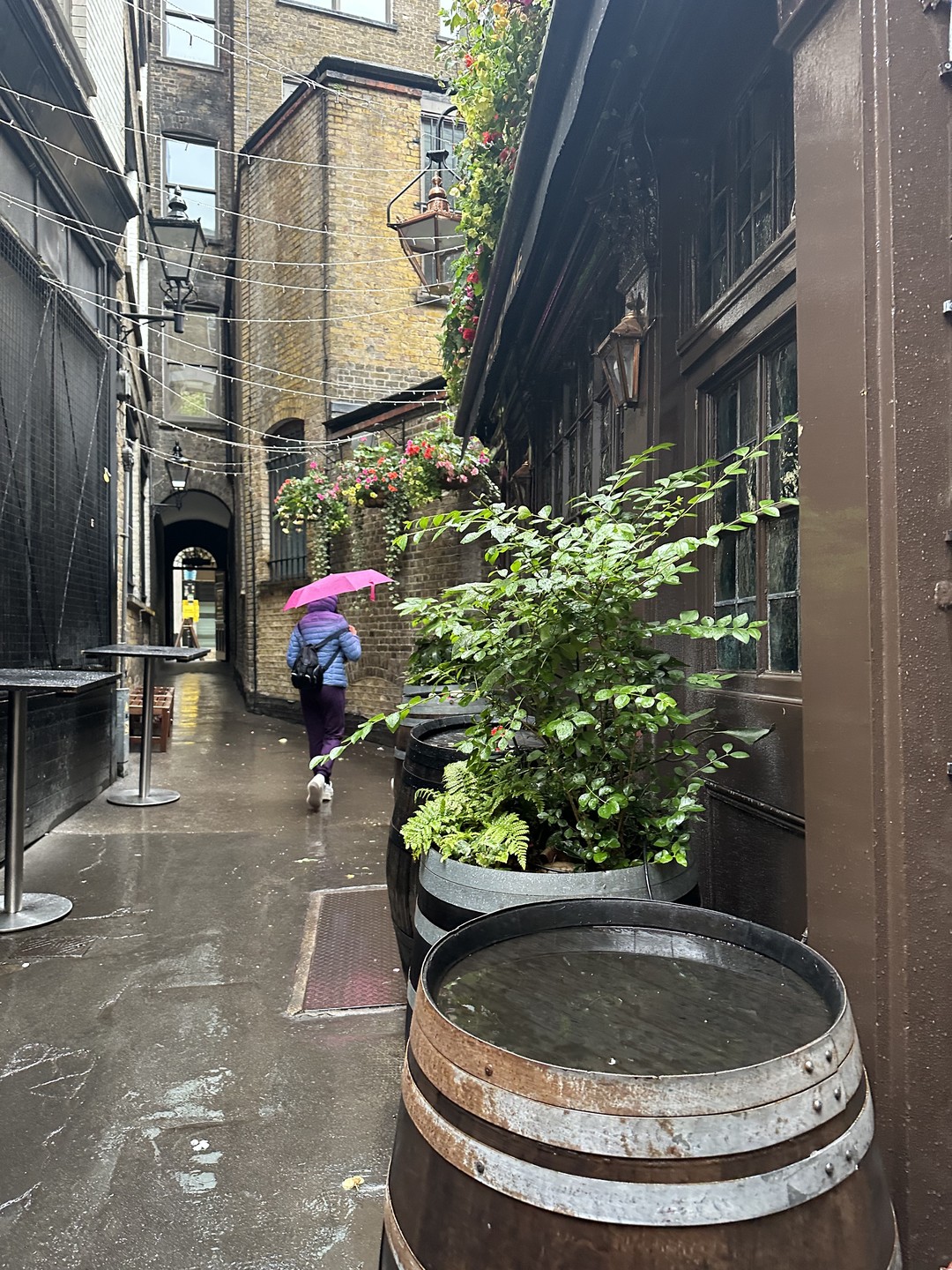 Тайны старого Лондона (Елена)