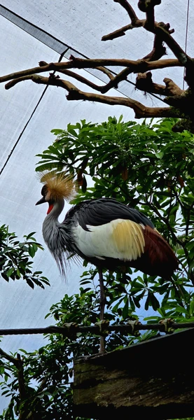 Экскурсию вел Абу. Отлично знает русский язык, с отличным чувством юмора, все подробно показывал и рассказывал
