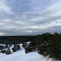 Фото отзыва 3: экскурсия "Утренняя Куршская коса из Зеленоградска на автобусе"