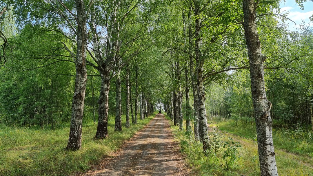 Большое спасибо Элите за интересную и необычную авторскую экскурсию, которую она устроила нам с женой. Она