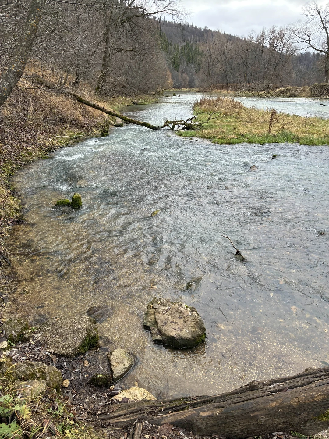 Огромная благодарность Ирине за потрясающую поездку! Экскурсия в монастырь «Святые Кустики» и на родник «Красный Ключ»