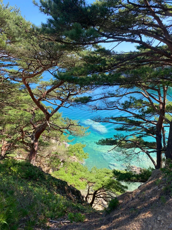 Полуостров Гамова: бухта Теляковского и остров Томящегося сердца