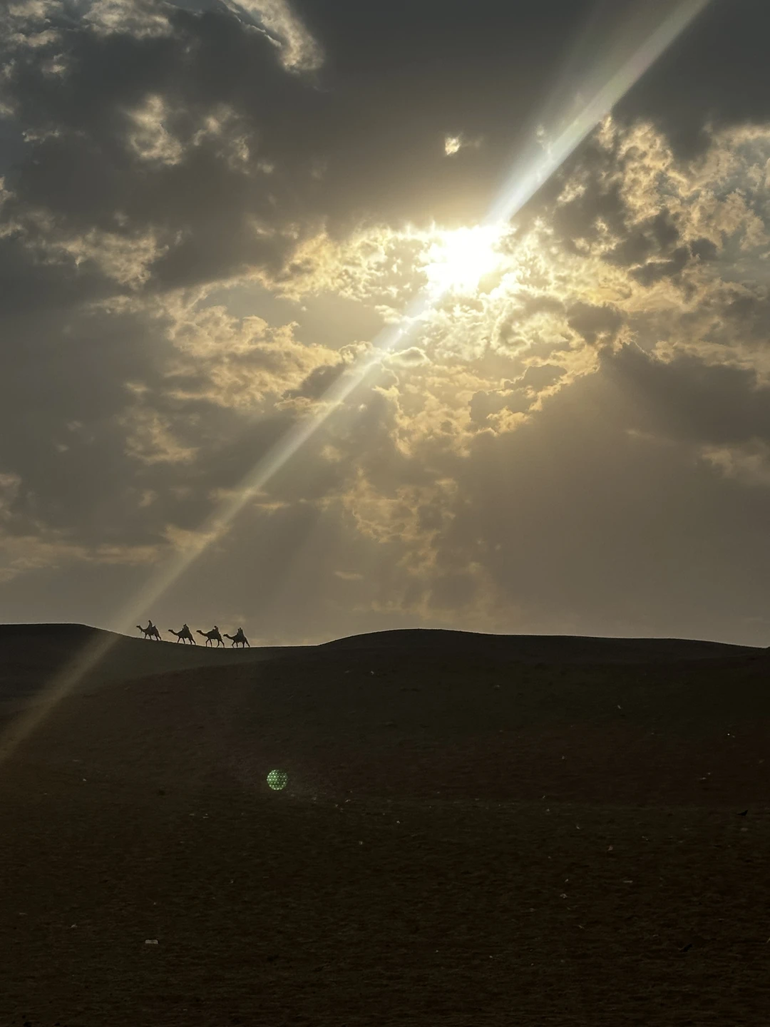 Наш день в Каире с гидом Аззой стал настоящим украшением всей поездки в Египет! Это не