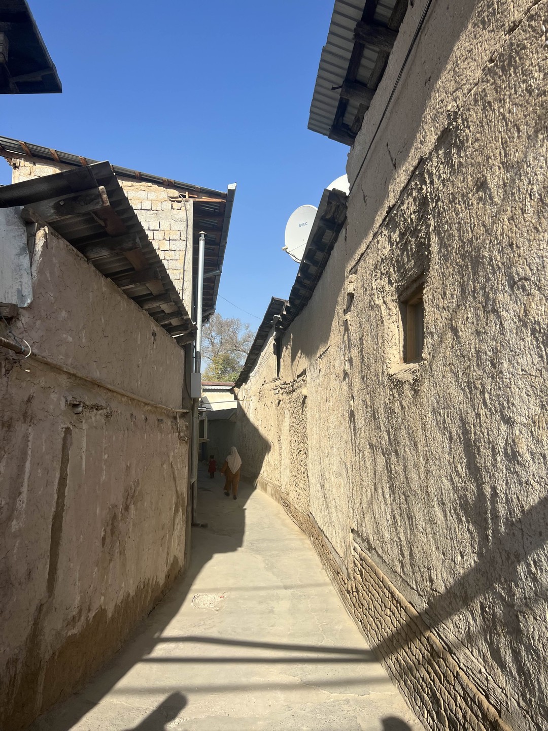 «Красавец Ташкент»: авто-пешеходная экскурсия (Елена)