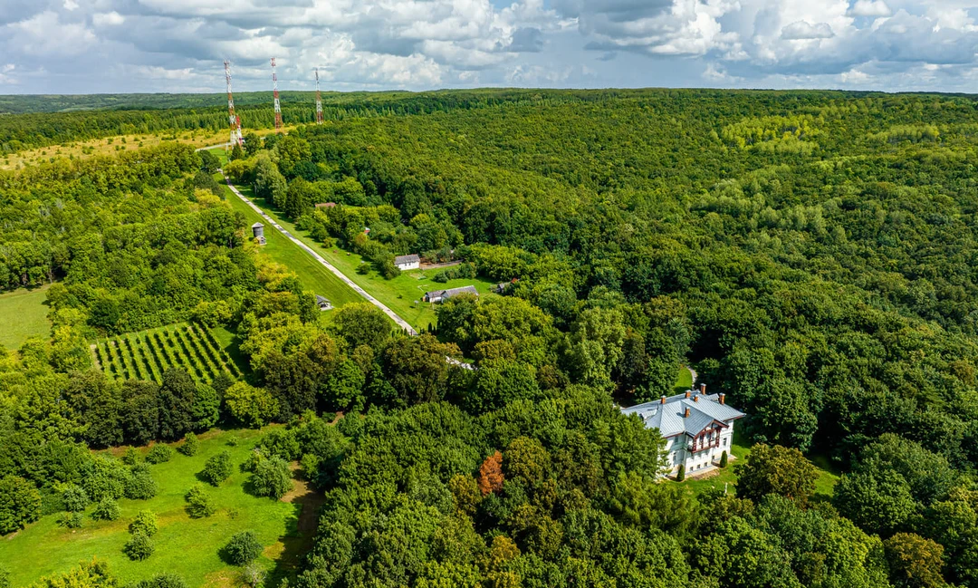 Усадьба Жомини