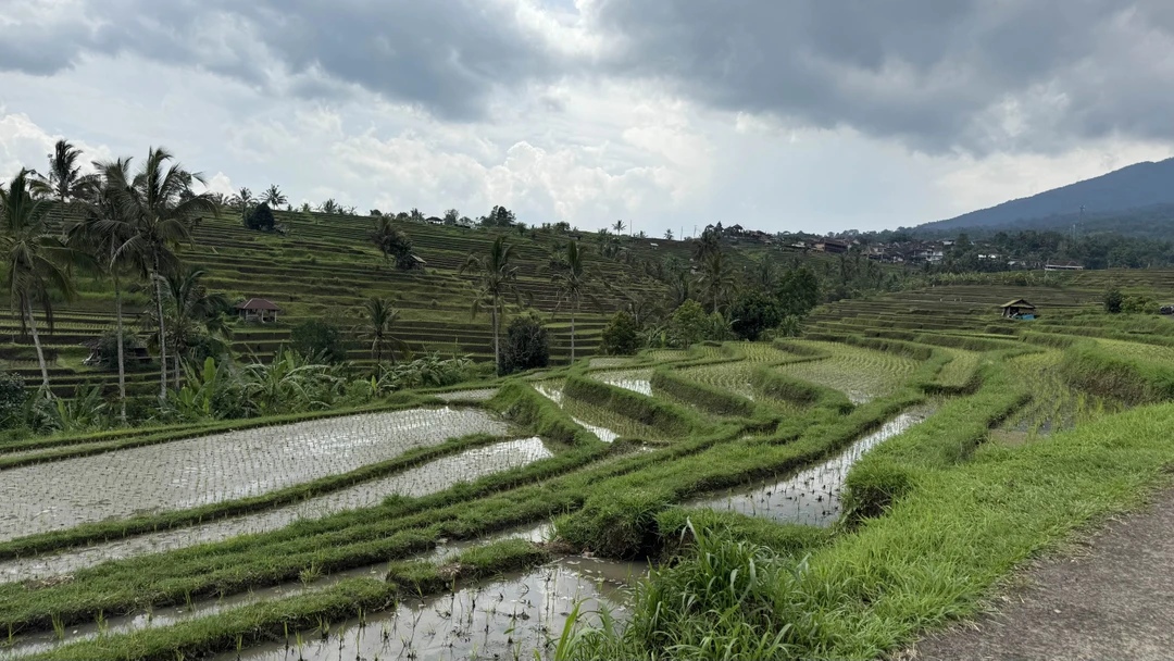 Огромная благодарность Дви за замечательный день. Который мы будем помнить и хранить в памяти на долгие