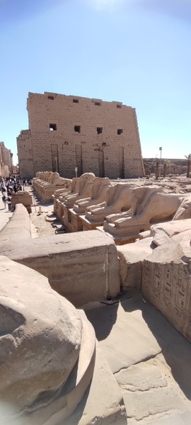 Из Хургады - в Дендеру и Луксор (Екатерина)