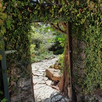 Фото отзыва 1: экскурсия "Экзотический Сочи"