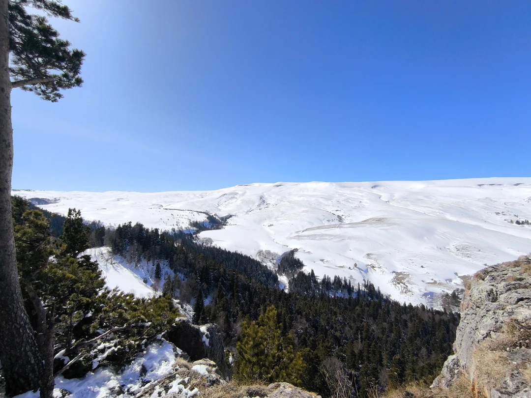Экскурсия очень понравилась