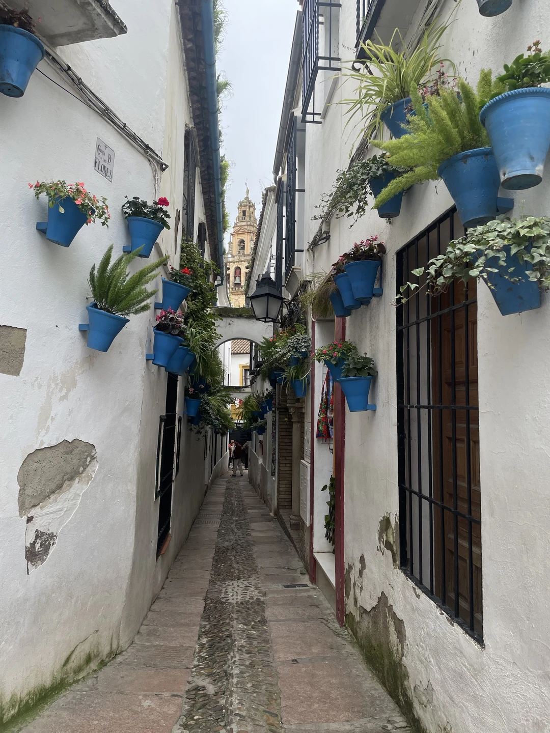 Потрясающая экскурсия и потрясающий гид! Все очень легко и интересно