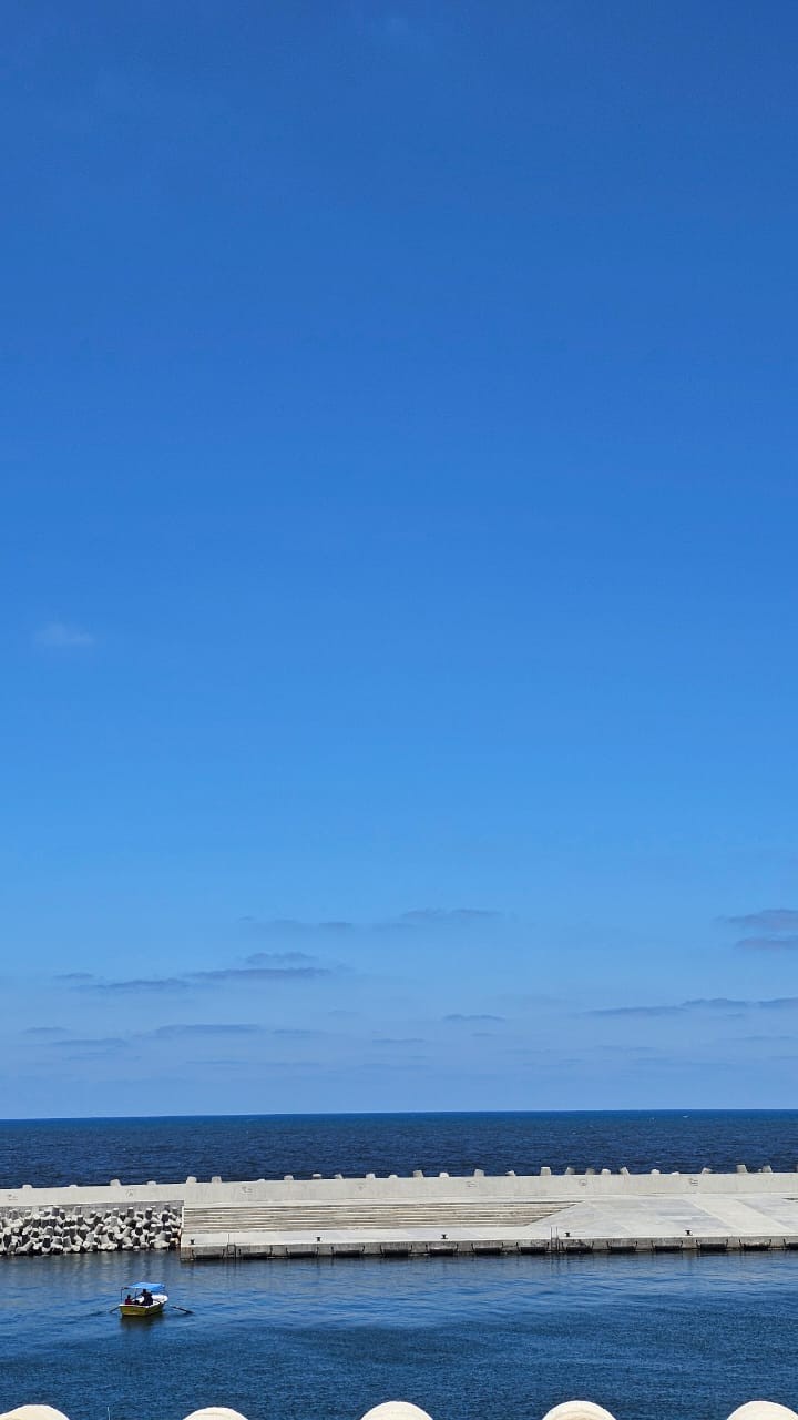 Спасибо большое гиду Хэлми за фантастическую экскурсию! Я была в восторге, узнав что в Египте есть