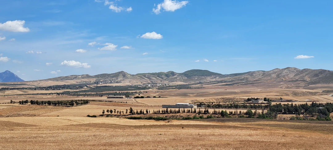 Прекрасно организованная экскурсия с замечательным гидом Хасаном. Получили огромное удовольствие. А древние Загуан и Удна впечатлили