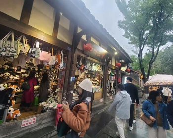 Панды и Старый город