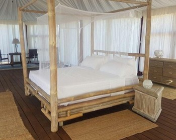 Фото отзыва 1: авторский тур "К игуанам, фламинго и в Бухту орлов: индивидуальный тур"