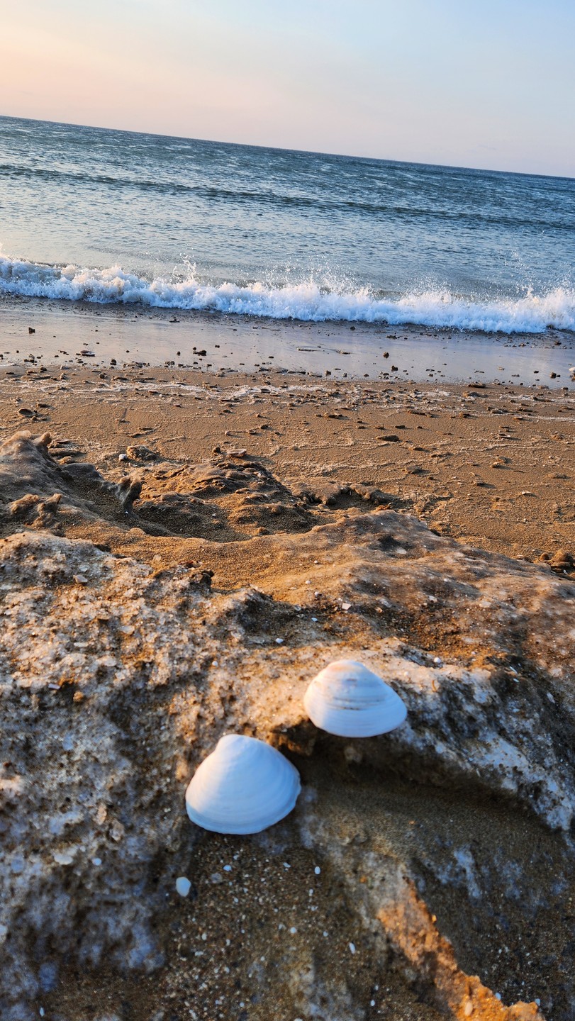 Заказали трансфер с аэропорта с экскурсией. По прилету списались с гидом Павлом и он нас встретил