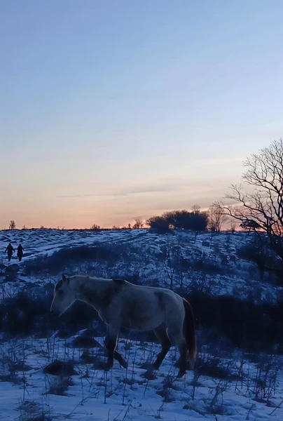 Восходящее солнце в феврале 🌅 поистине прекрасно