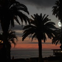 reviews img