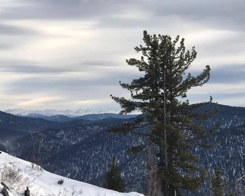Курорт "Телецкий", переезд на "Манжерок"