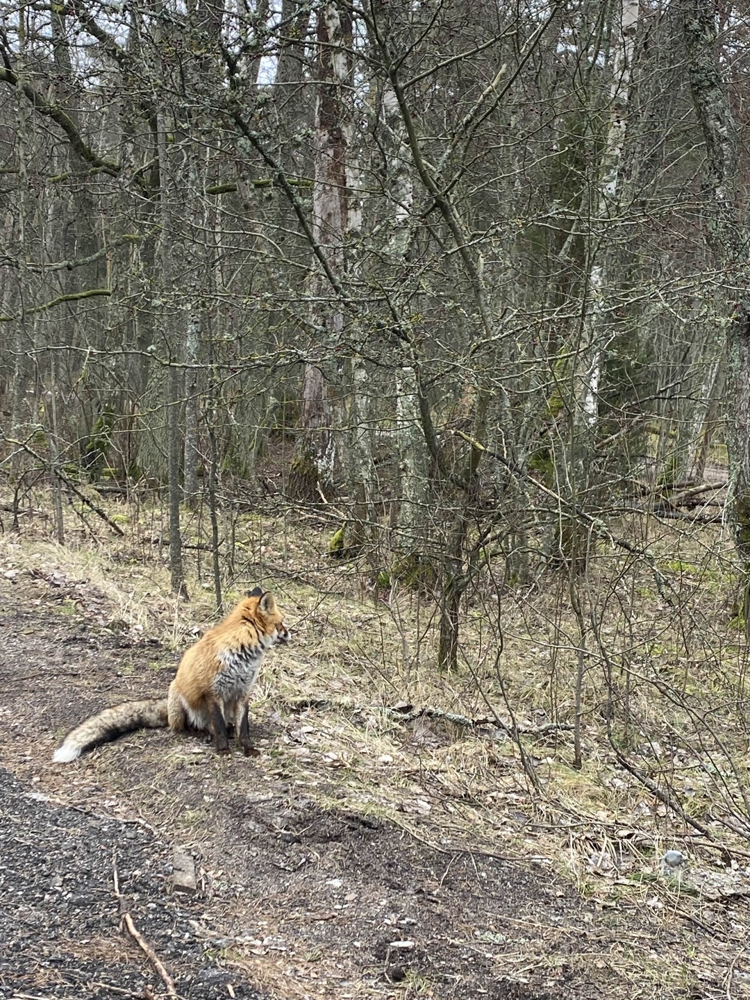 Виллы, форт, коса, курорт… и замок (Вероника)