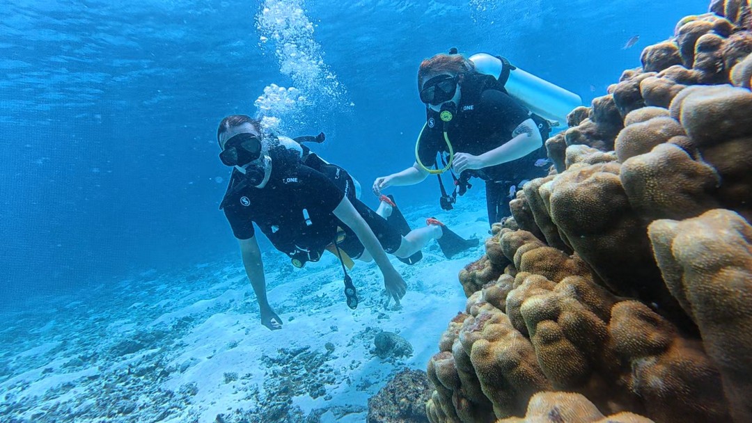 Огромная благодарность за первый опыт погружения! Если вы не умеете плавать, у Вас страх воды -