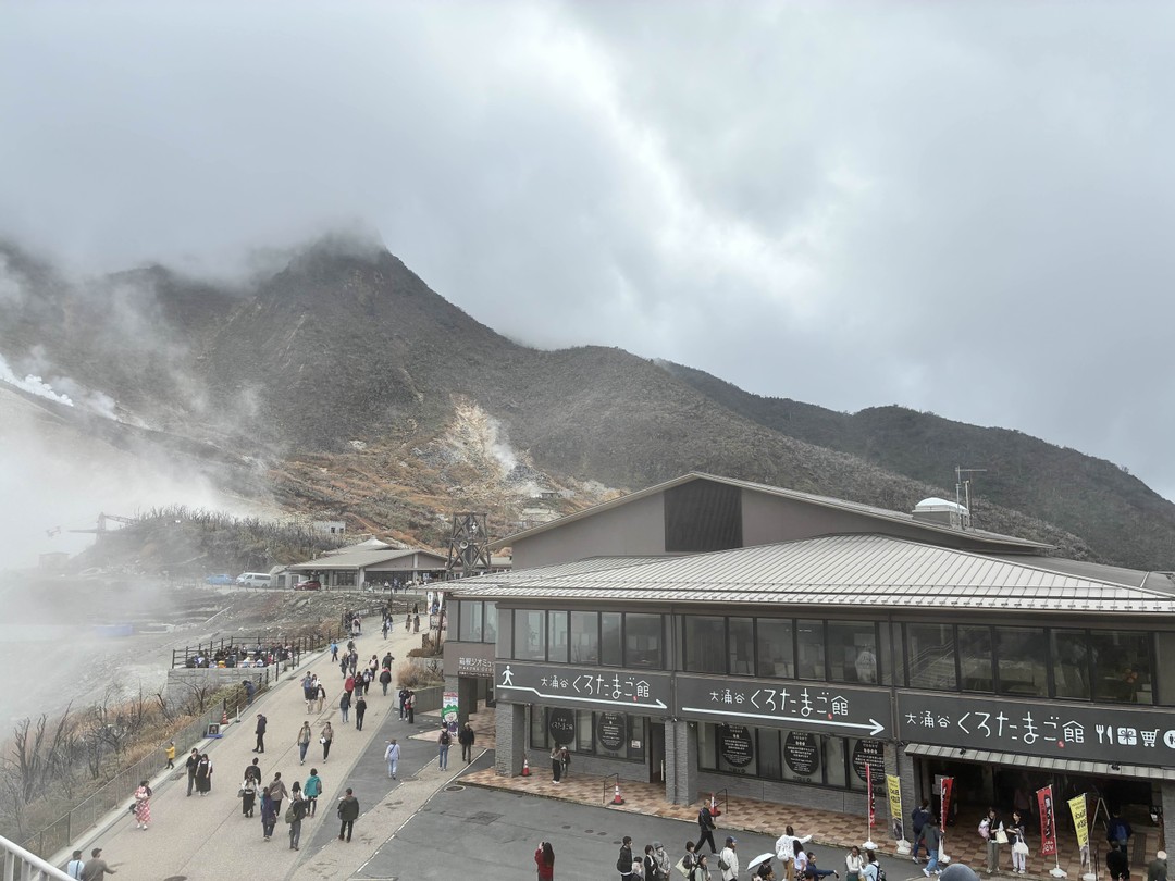 Спасибо большое Михаилу за прекрасную экскурсию, за отличную историю, лучшее погружение в Японскую культуру. Советую всем.