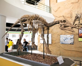 Даланзадгад и ущелье Ёлын-Ам