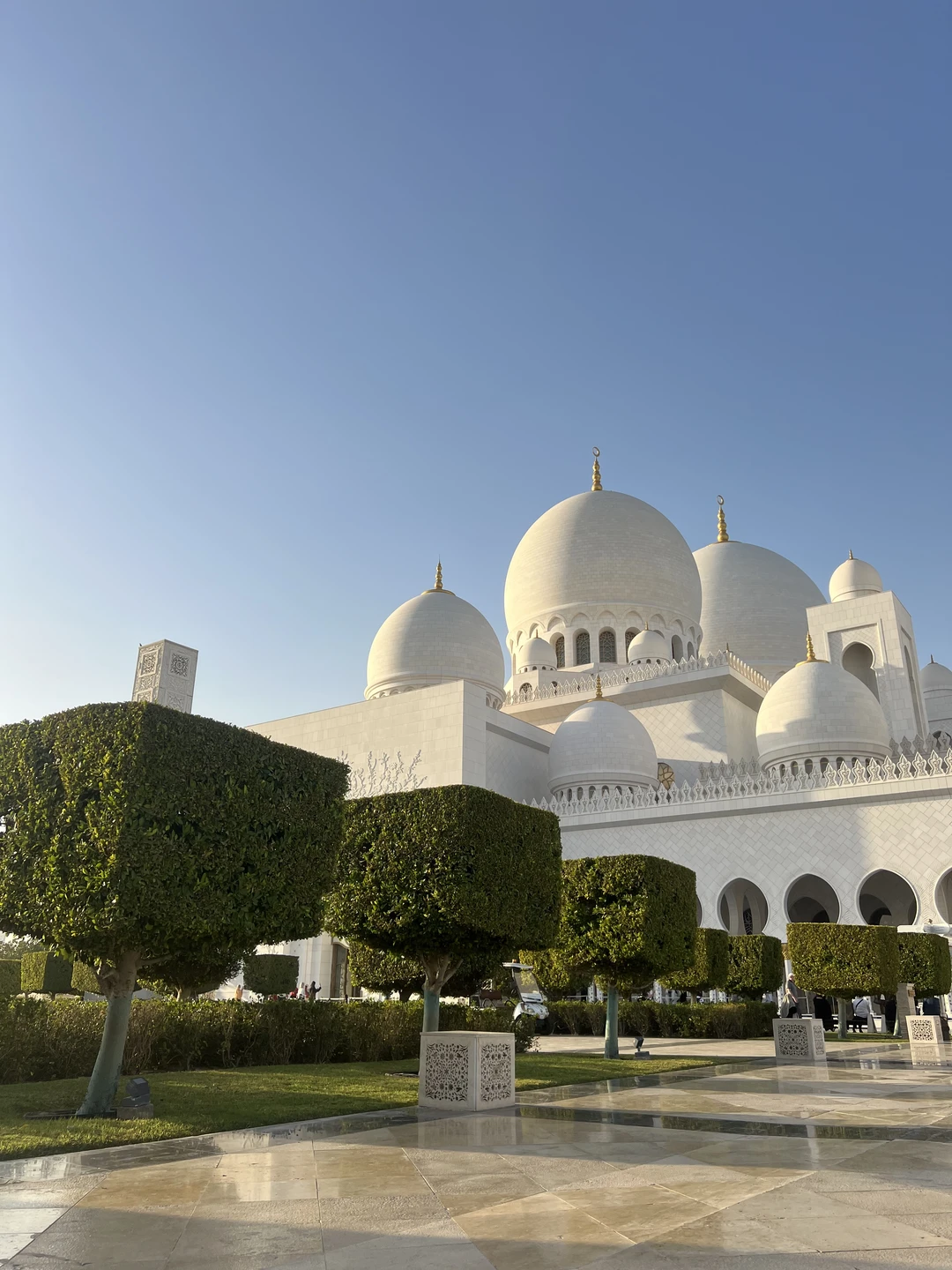 Абу-Даби в мини-группе с посещением Президентского дворца (Denis)