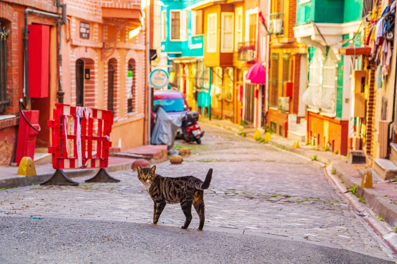 Яркий Стамбул — Балат, Фенер и Кузгунджук