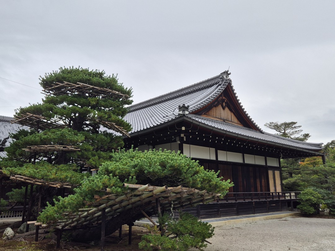 Екатерина отличный профессионал, имеющий огромную базу знаний, увлеченная историей и страной. Спасибо огромное за отличный день
