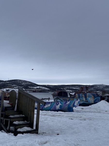 Благодарим Анатолия за чудосно организованную поездку! Получили массу приятных впечатлений, снегоступы вернули ощущения детства и подарили