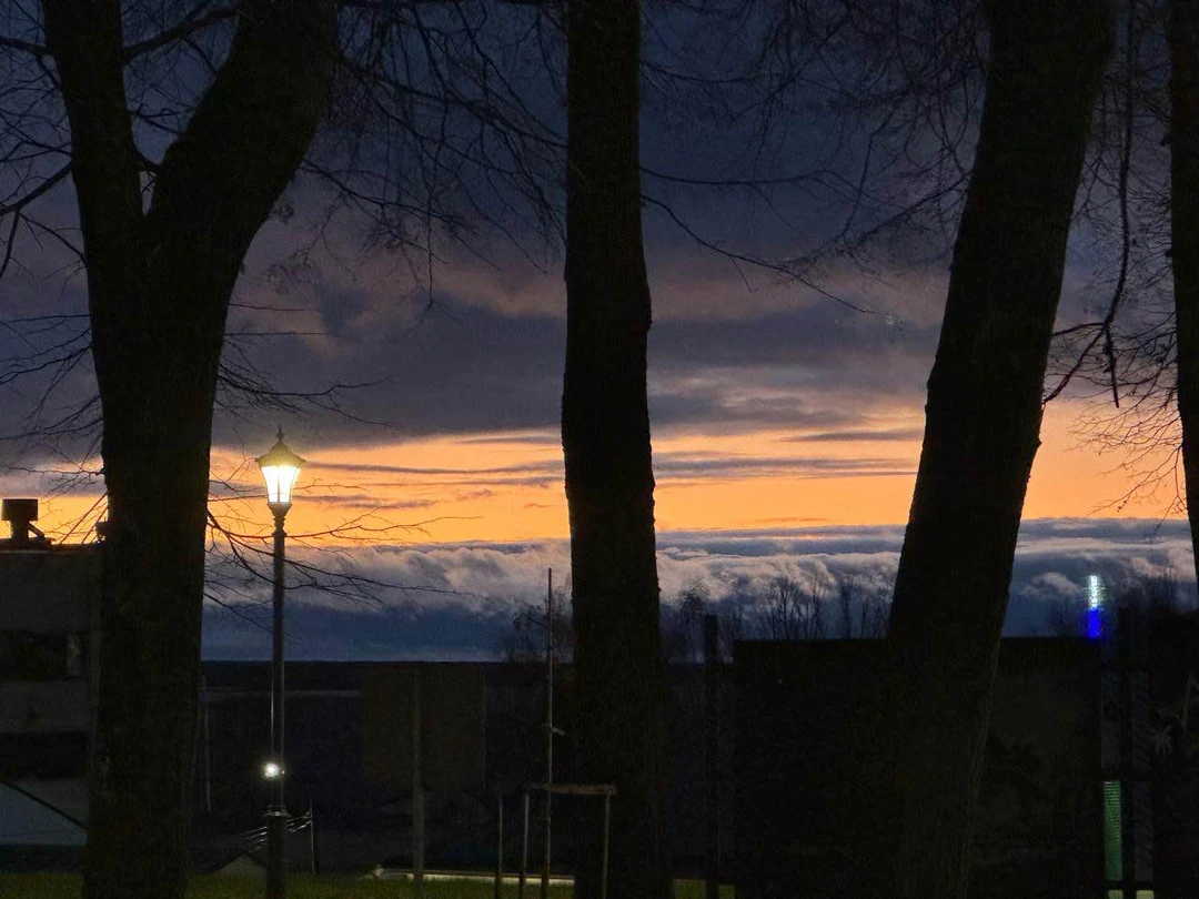 Очень хорошая экскурсия по центру города. Елена ответила на все наши дополнительные вопросы, дала рекомендации по