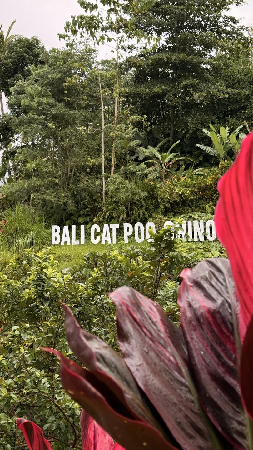 Благодаря Панде, нашему гиду мы увидели Бали изнутри, мы услышали много интересной и познавательной информации, мы