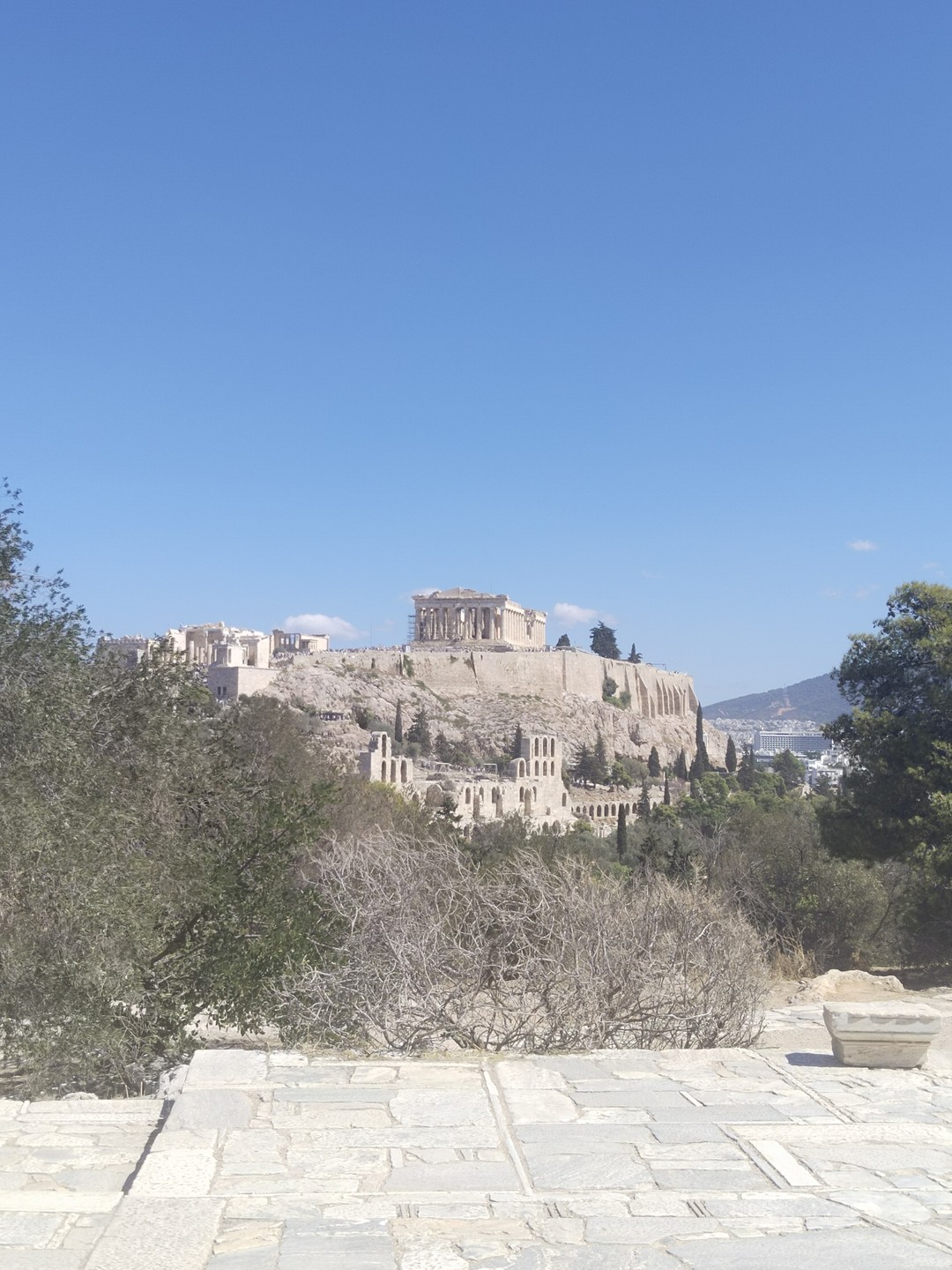 Афины для маленьких и больших исследователей (Константин)