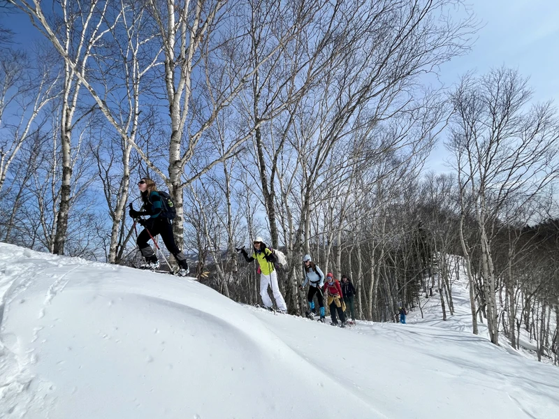 След в след: прогулка на снегоступах